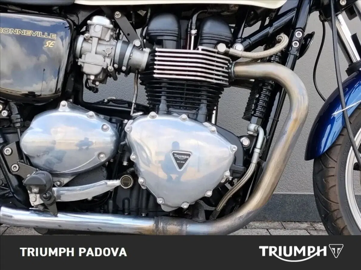 Triumph Bonneville SE (2009 - 13) (3)