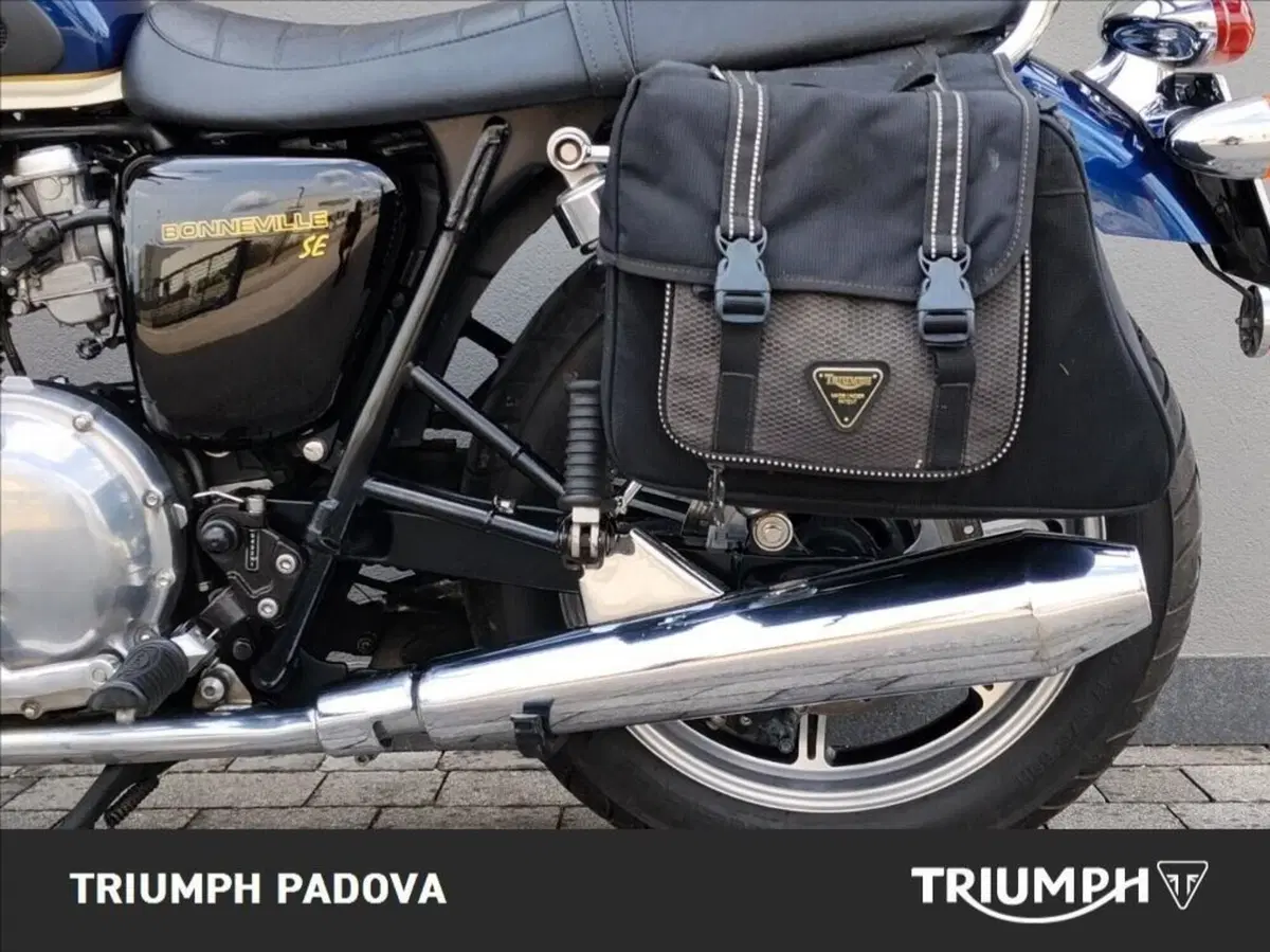 Triumph Bonneville SE (2009 - 13) (7)