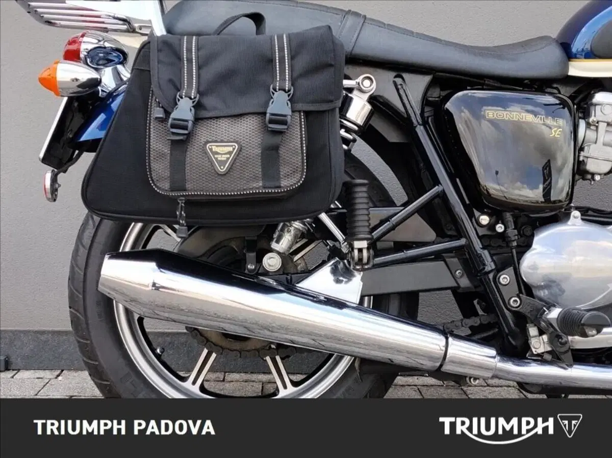 Triumph Bonneville SE (2009 - 13) (2)
