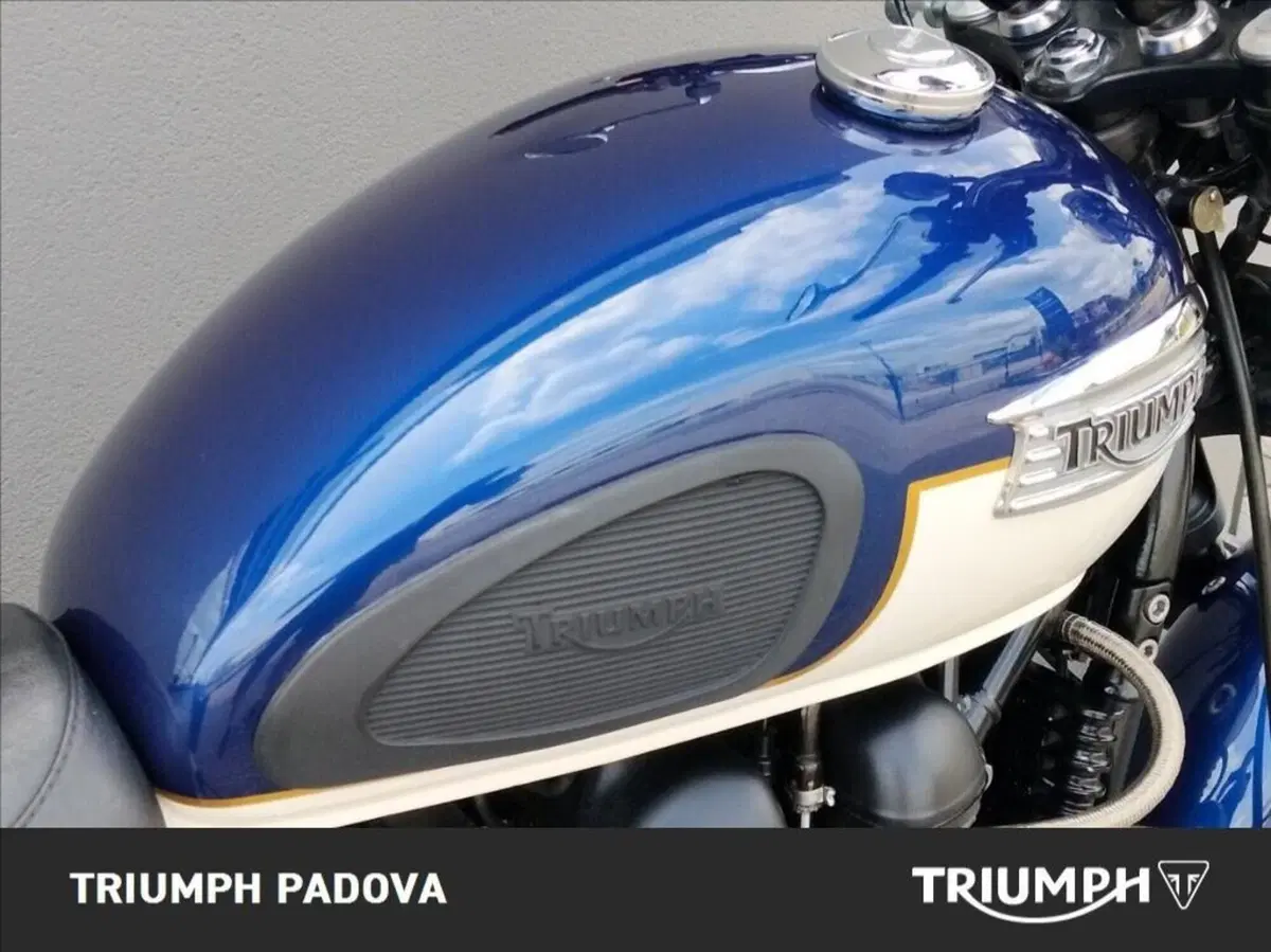 Triumph Bonneville SE (2009 - 13) (4)