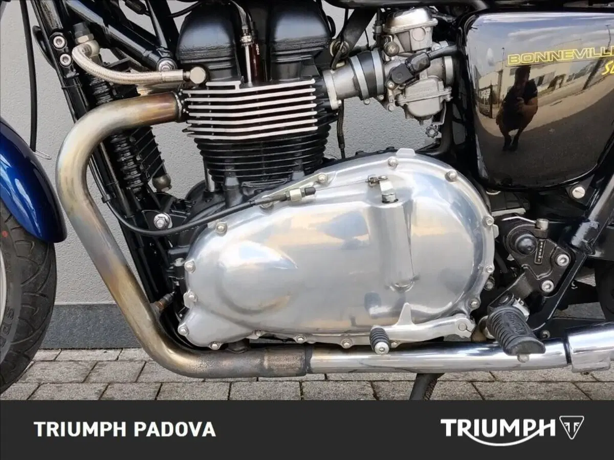 Triumph Bonneville SE (2009 - 13) (8)
