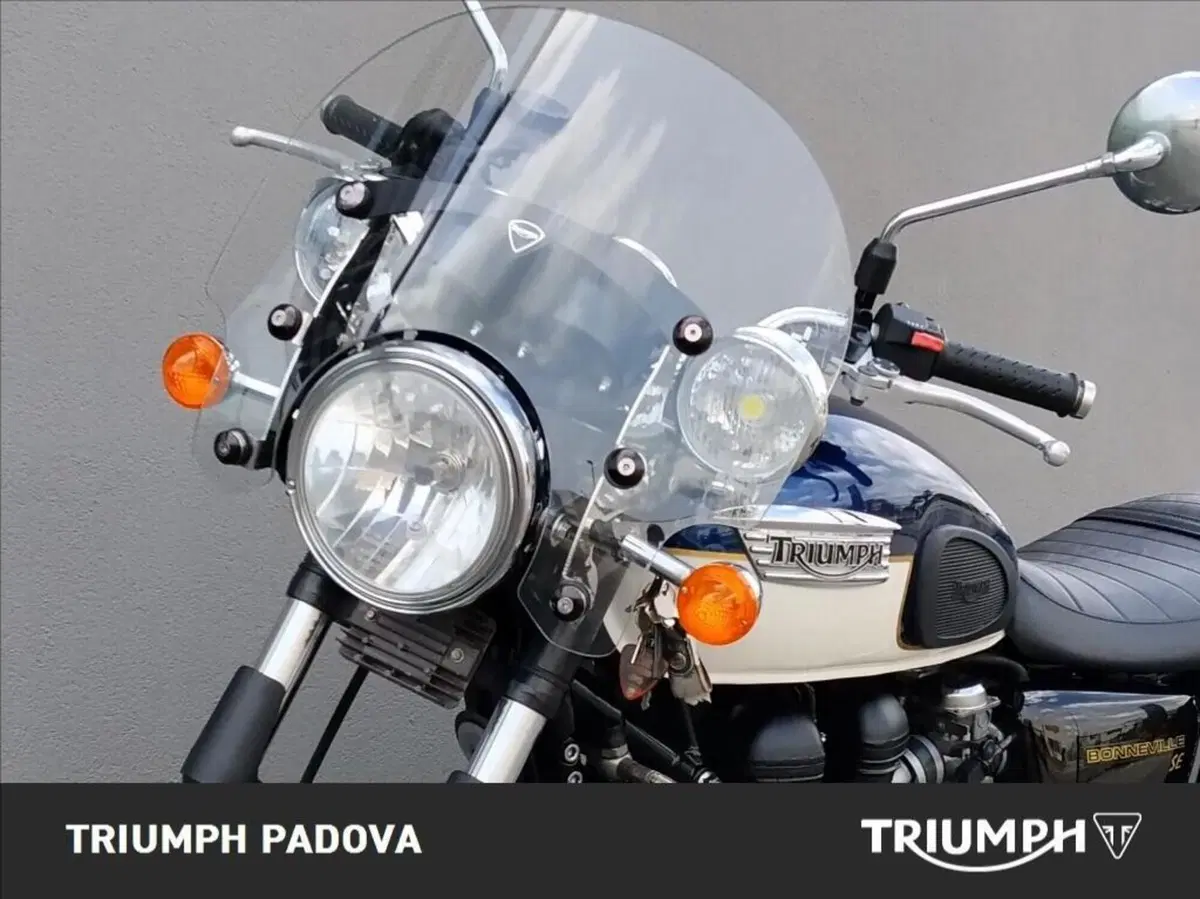 Triumph Bonneville SE (2009 - 13) (10)
