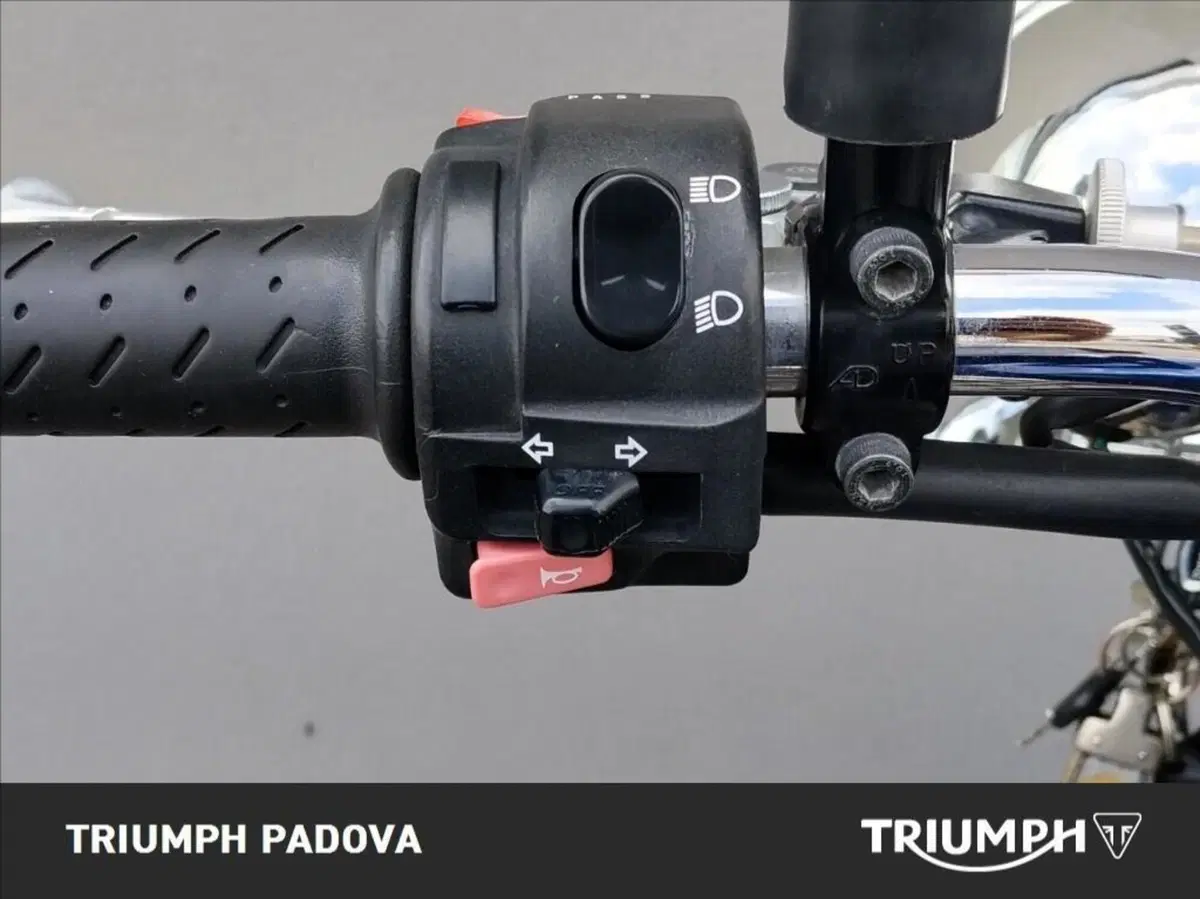Triumph Bonneville SE (2009 - 13) (12)