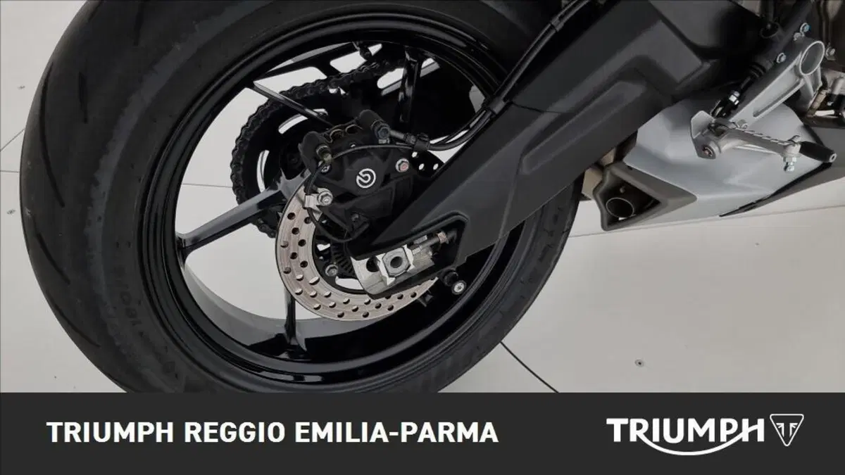 Aprilia Tuono 660 Factory (2022 - 24) (15)