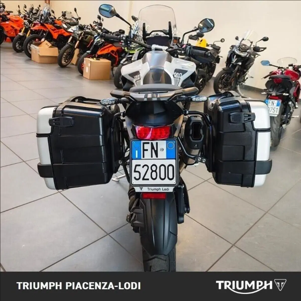Triumph Tiger 1200 GT Pro (2024 - 26) (9)