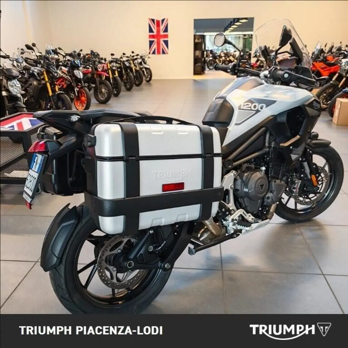Triumph Tiger 1200 GT Pro (2024 - 26) (8)
