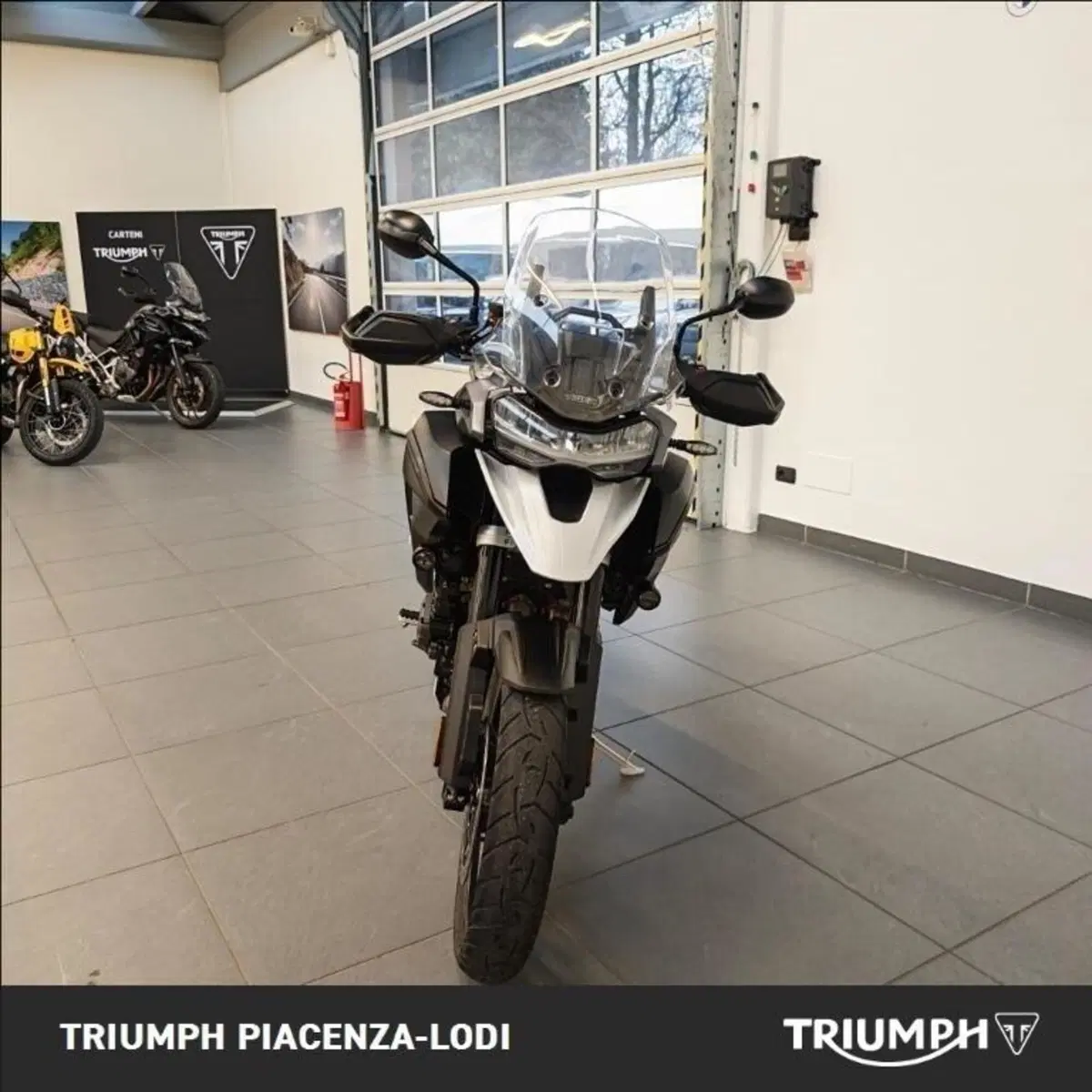 Triumph Tiger 1200 GT Pro (2024 - 26) (6)