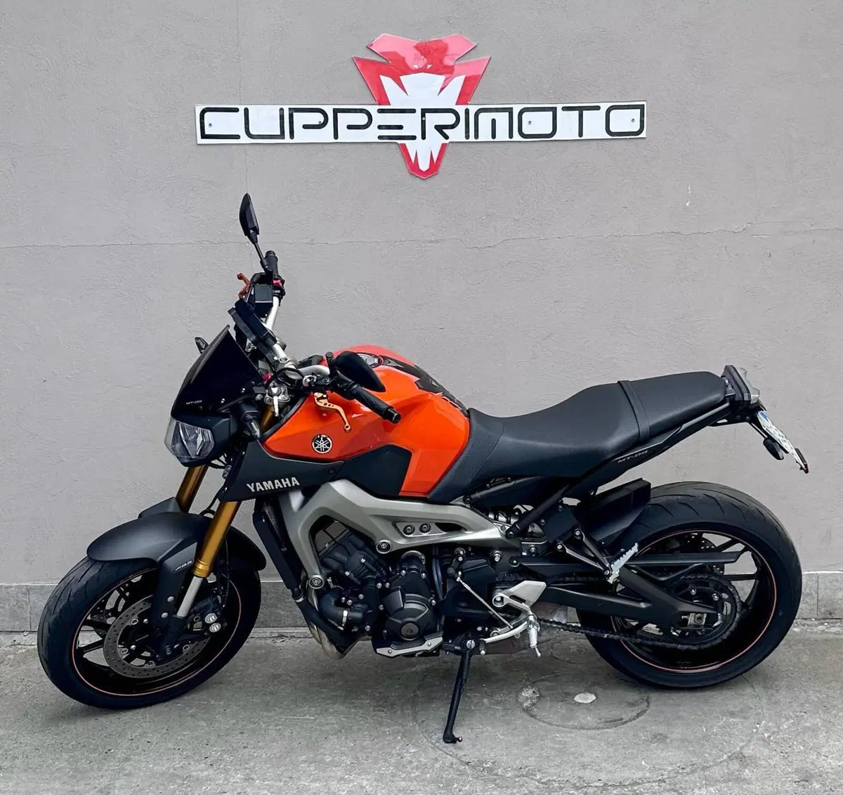 Yamaha MT-09 (2013 - 15) (4)