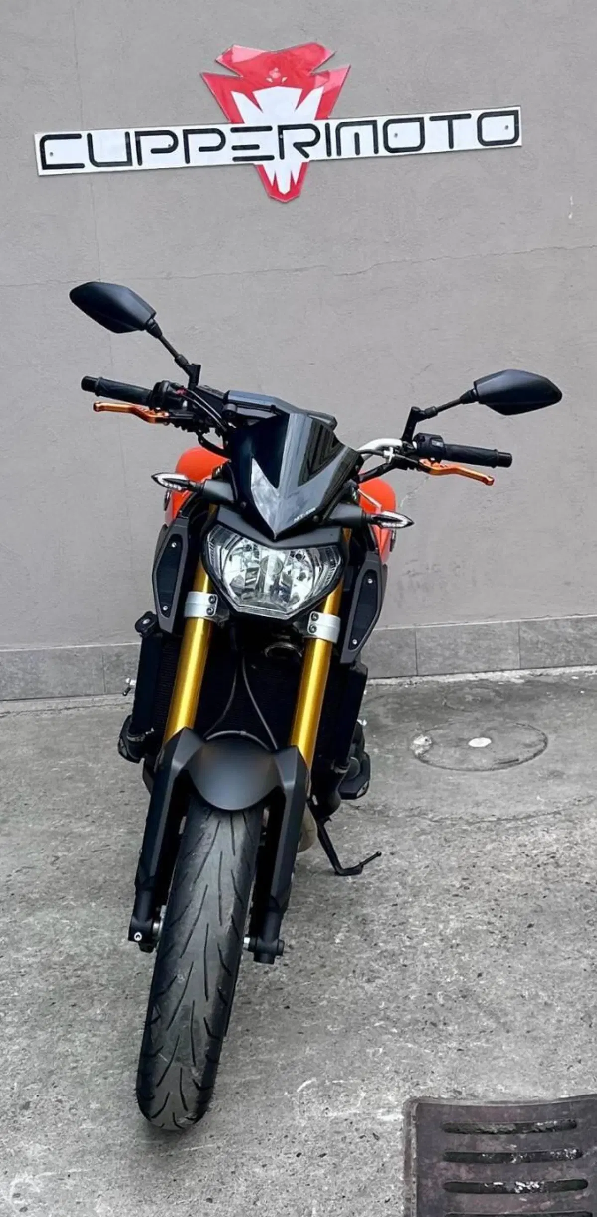 Yamaha MT-09 (2013 - 15) (5)