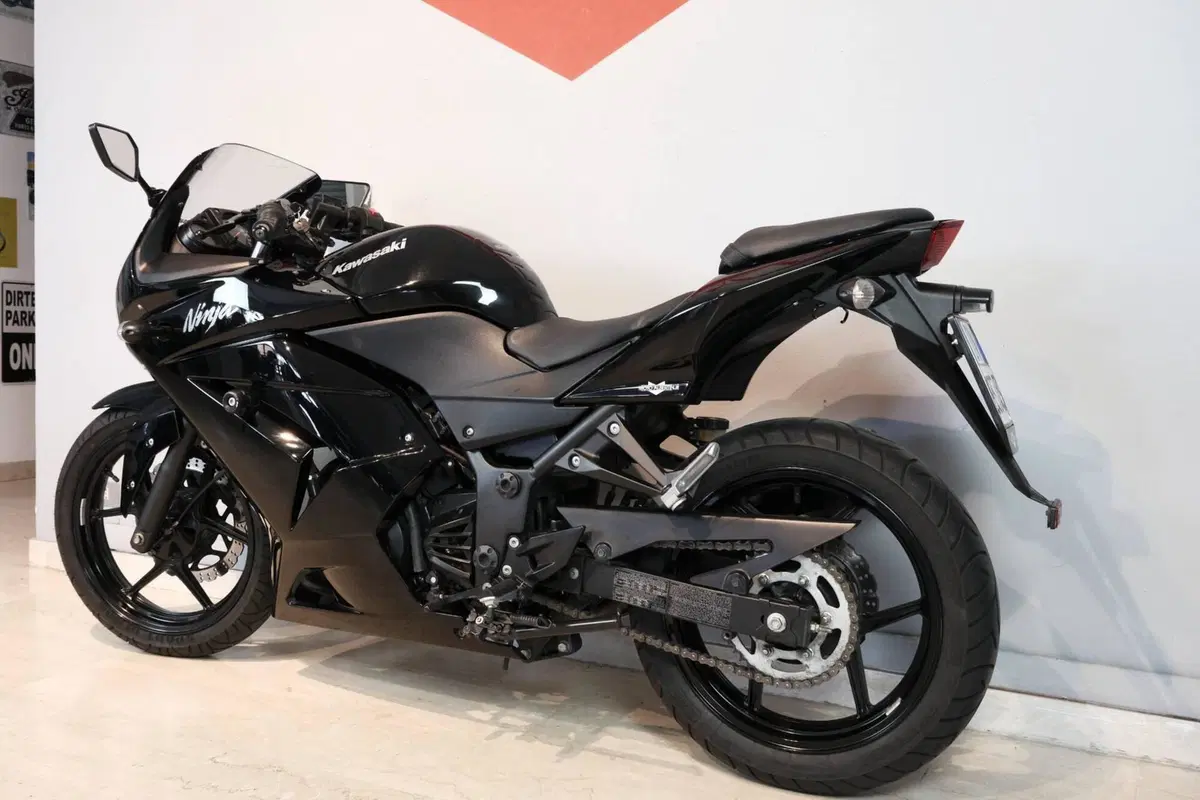 Kawasaki Ninja 250 R (2007 - 13) (3)
