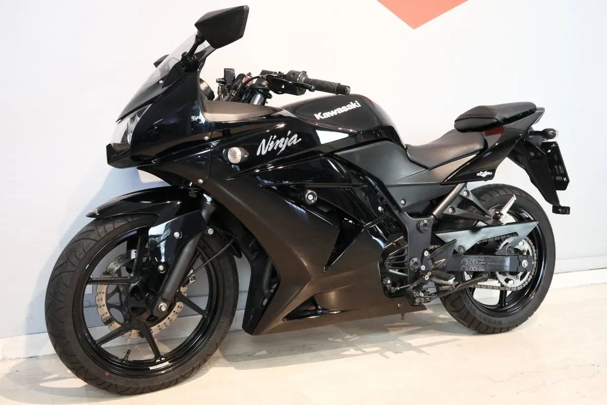 Kawasaki Ninja 250 R (2007 - 13) (4)