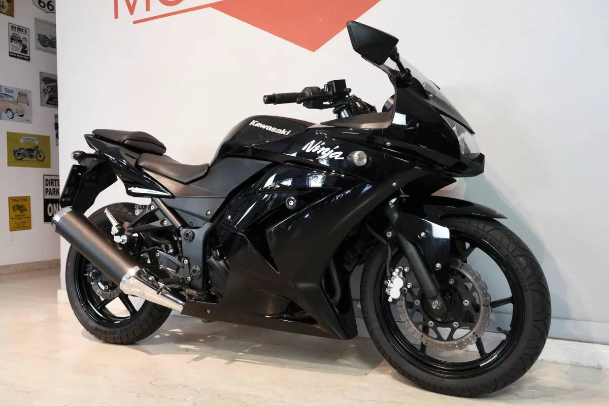 Kawasaki Ninja 250 R (2007 - 13) (5)