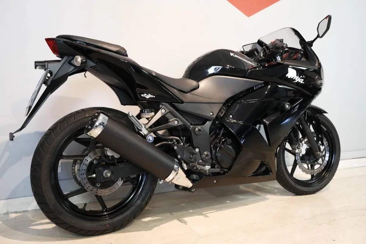 Kawasaki Ninja 250 R (2007 - 13) (6)