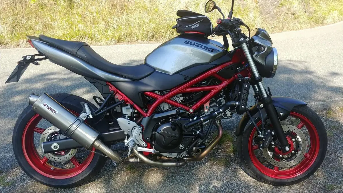 Suzuki SV 650 (2016 - 20) (2)