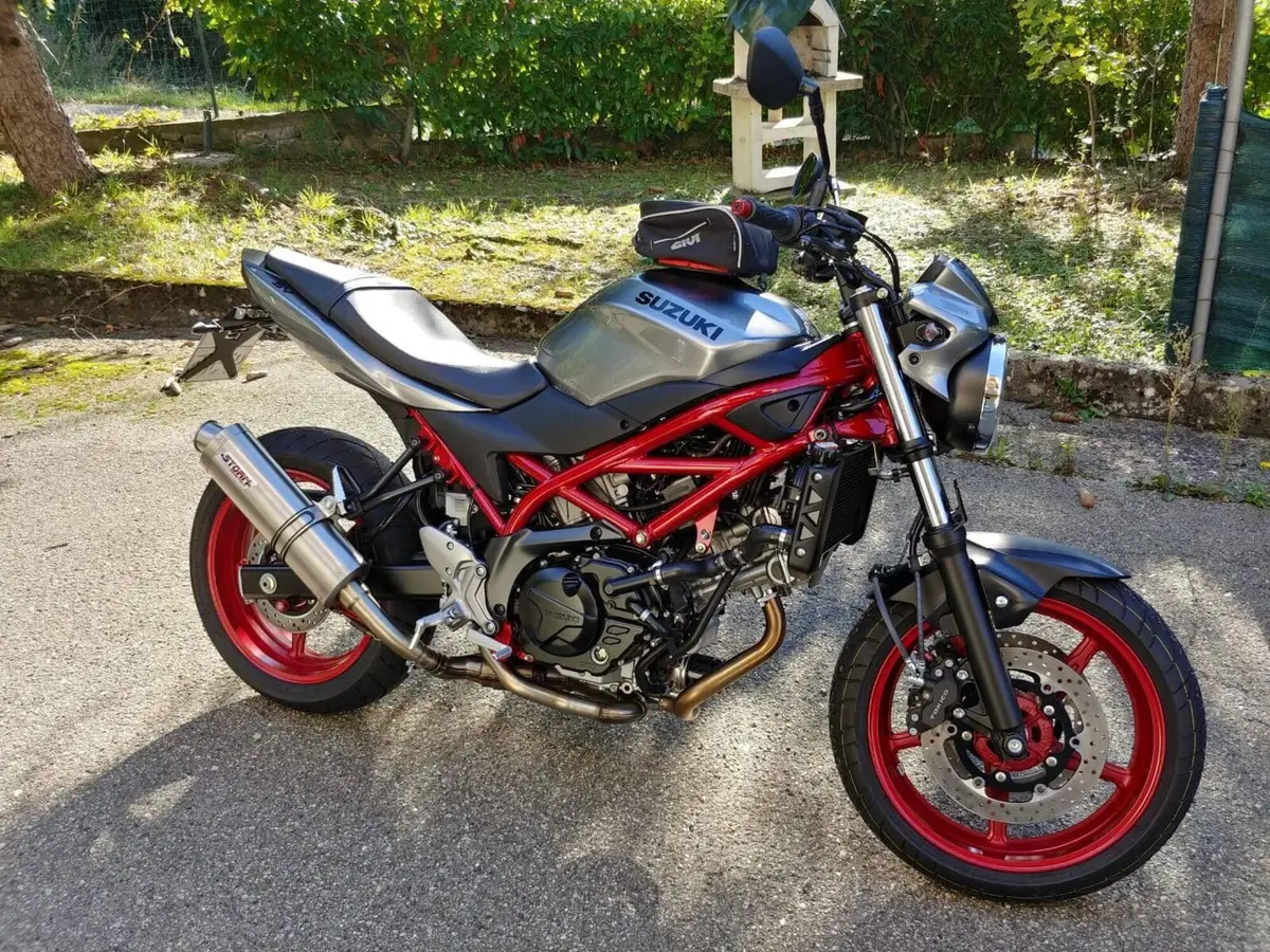 Suzuki SV 650 (2016 - 20) (4)