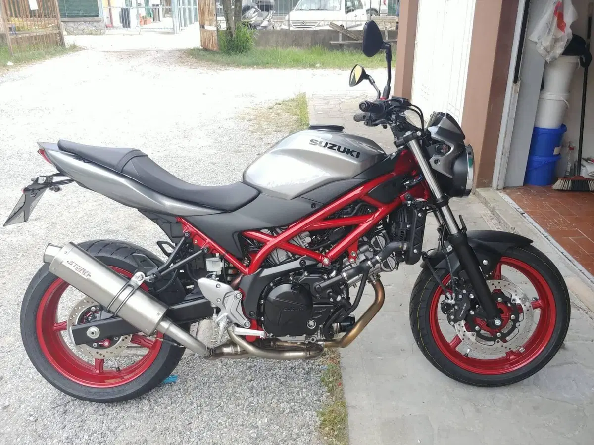 Suzuki SV 650 (2016 - 20) (5)