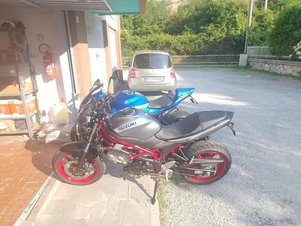 Suzuki SV 650 (2016 - 20) (6)