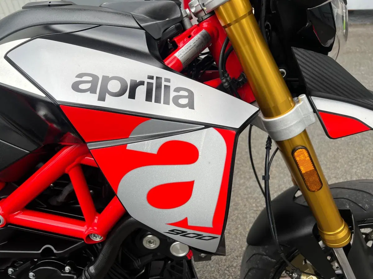 Aprilia Dorsoduro 900 (2017 - 20) (6)