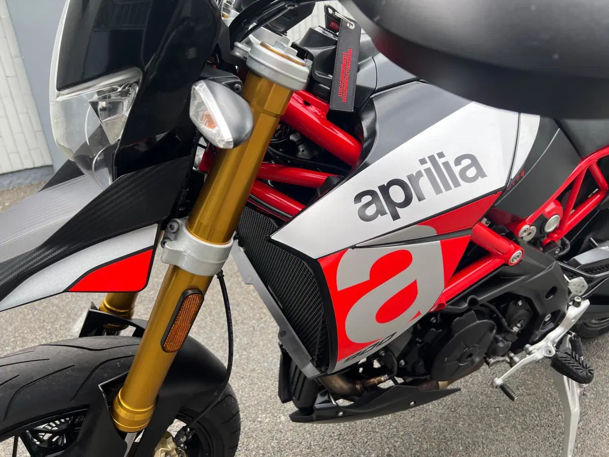 Aprilia Dorsoduro 900 (2017 - 20) (8)