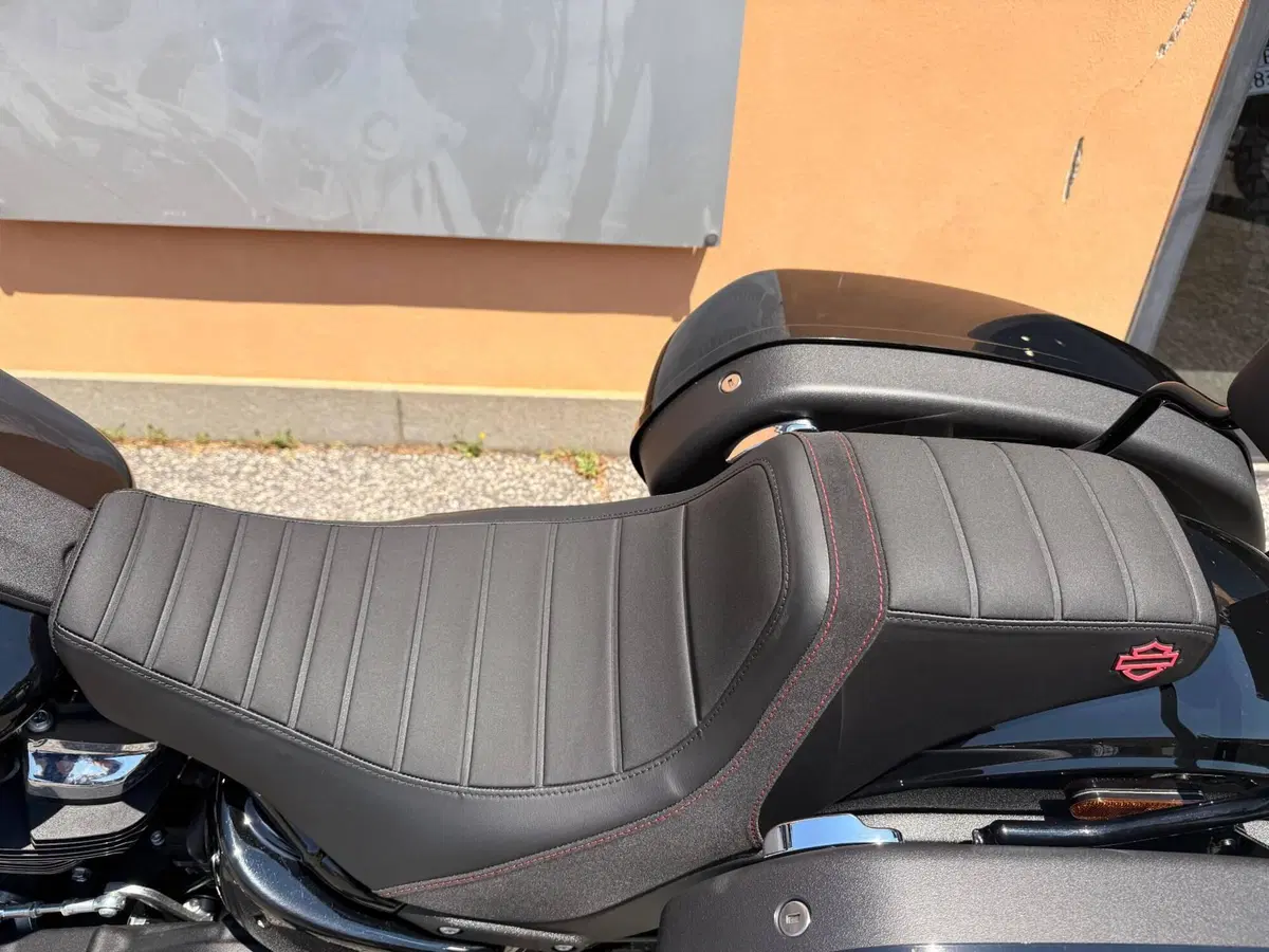Harley-Davidson Low Rider ST (2025 - 26) (11)