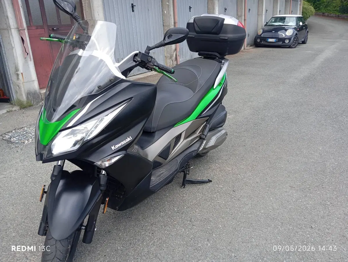 Kawasaki J 300 ABS (2014 - 16)