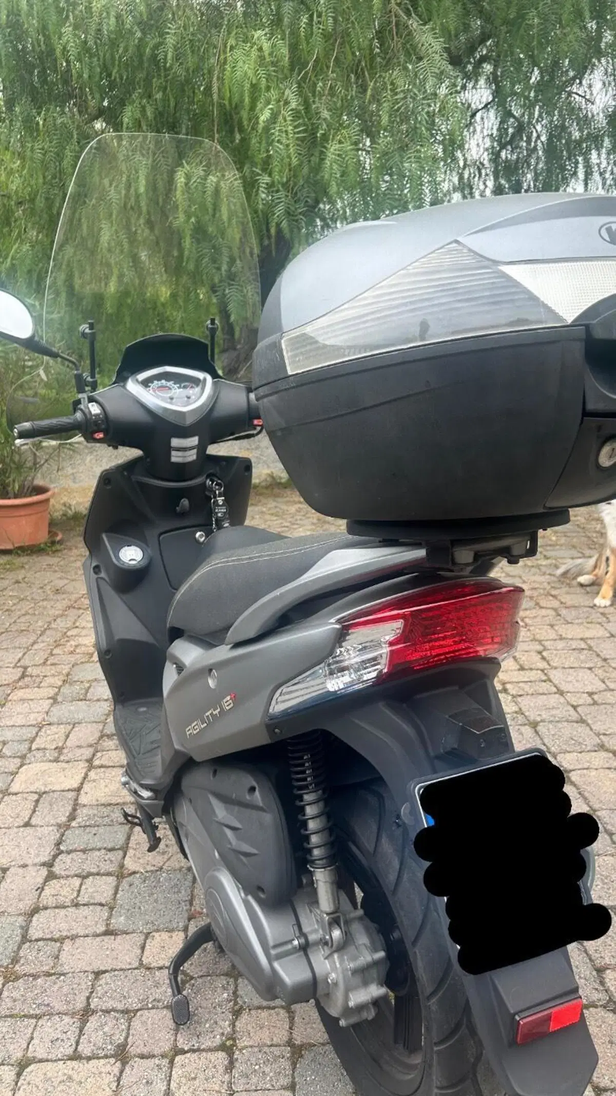 Kymco Agility 125 R16 + (2017 - 20) (5)