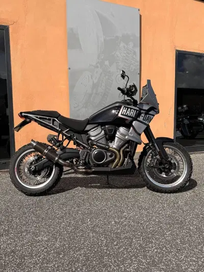 Harley-Davidson Pan America 1250 (2020 - 25) usata