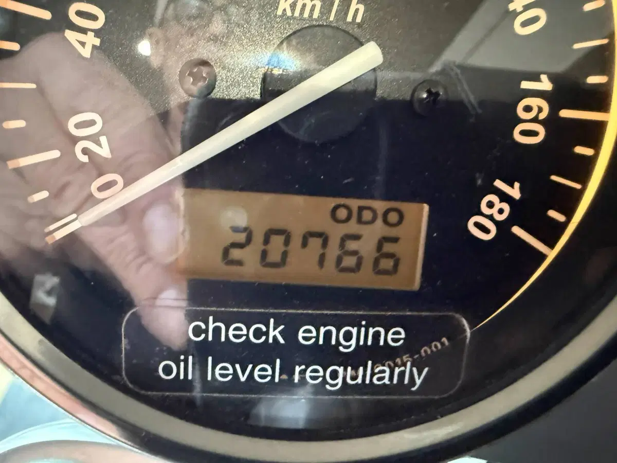 Bmw R 1200 C Montauk (15)