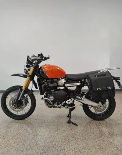 Triumph Scrambler 1200 XE (2024 - 25) usata