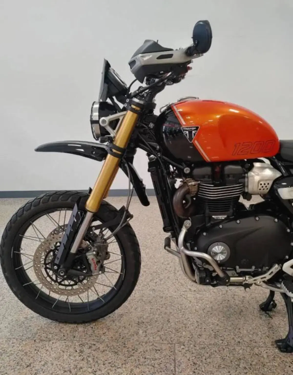 Triumph Scrambler 1200 XE (2024 - 25) (2)