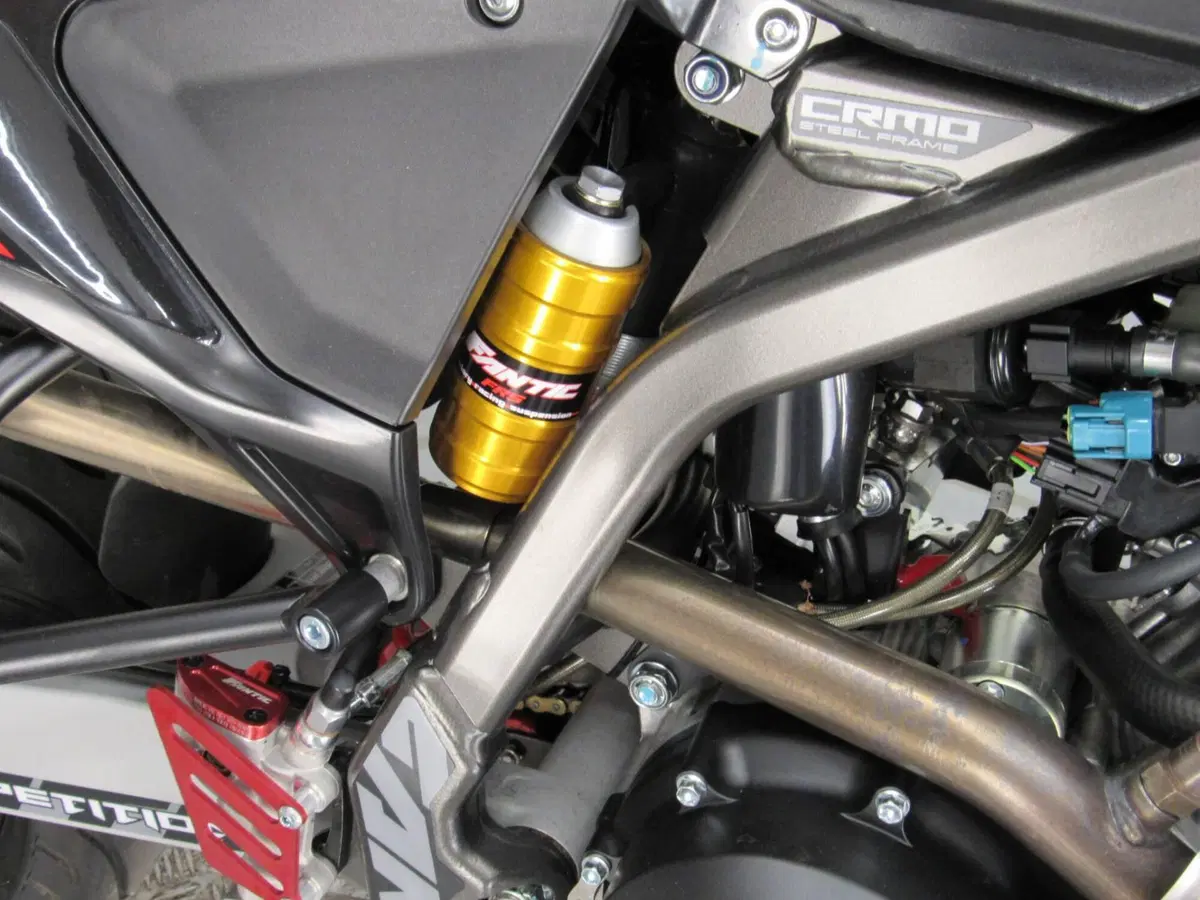 Fantic Motor XMF 125 Competition (2025 - 26) (12)