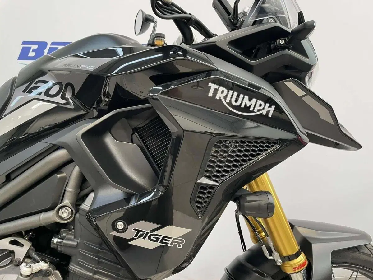 Triumph Tiger 1200 Rally Pro (2022 - 23) (7)