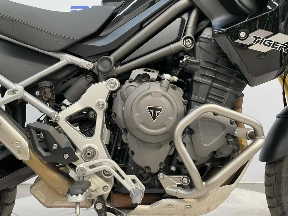 Triumph Tiger 1200 Rally Pro (2022 - 23) (11)