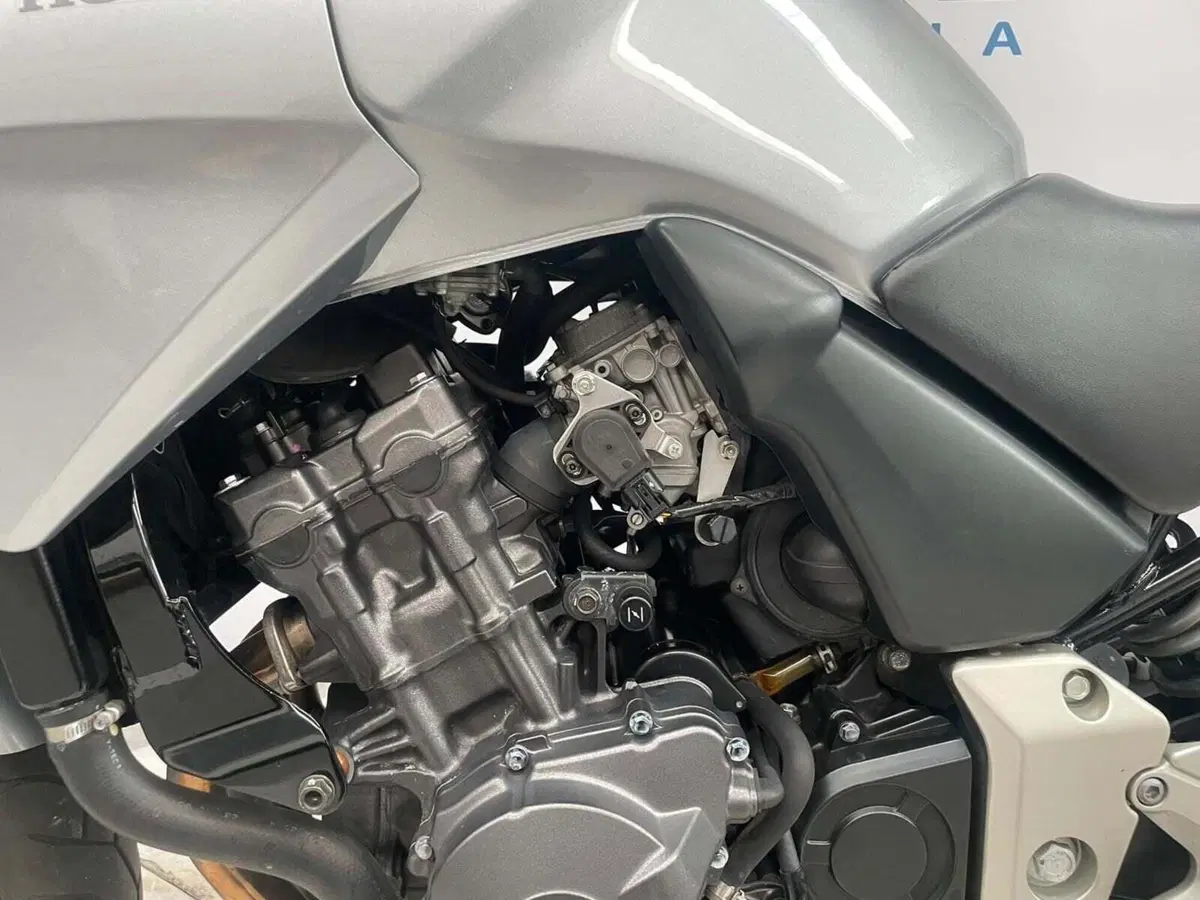 Honda CBF 600 (2004 - 06) (14)