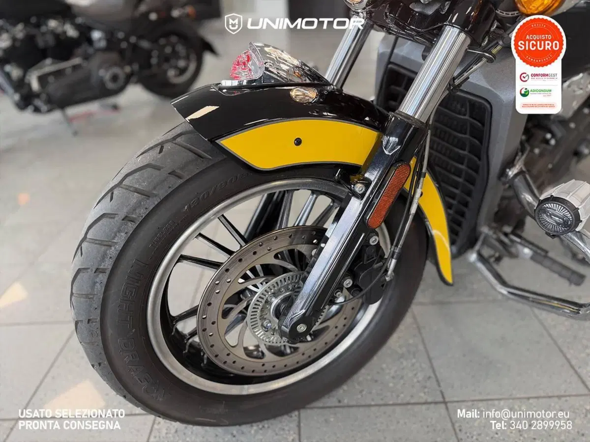 Indian Scout 1133 (2017 - 19) (8)