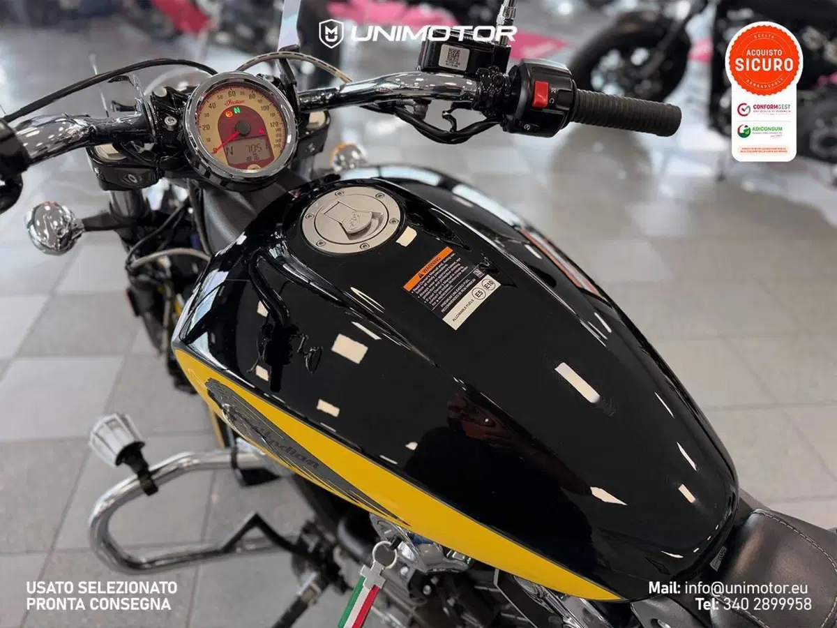 Indian Scout 1133 (2017 - 19) (10)
