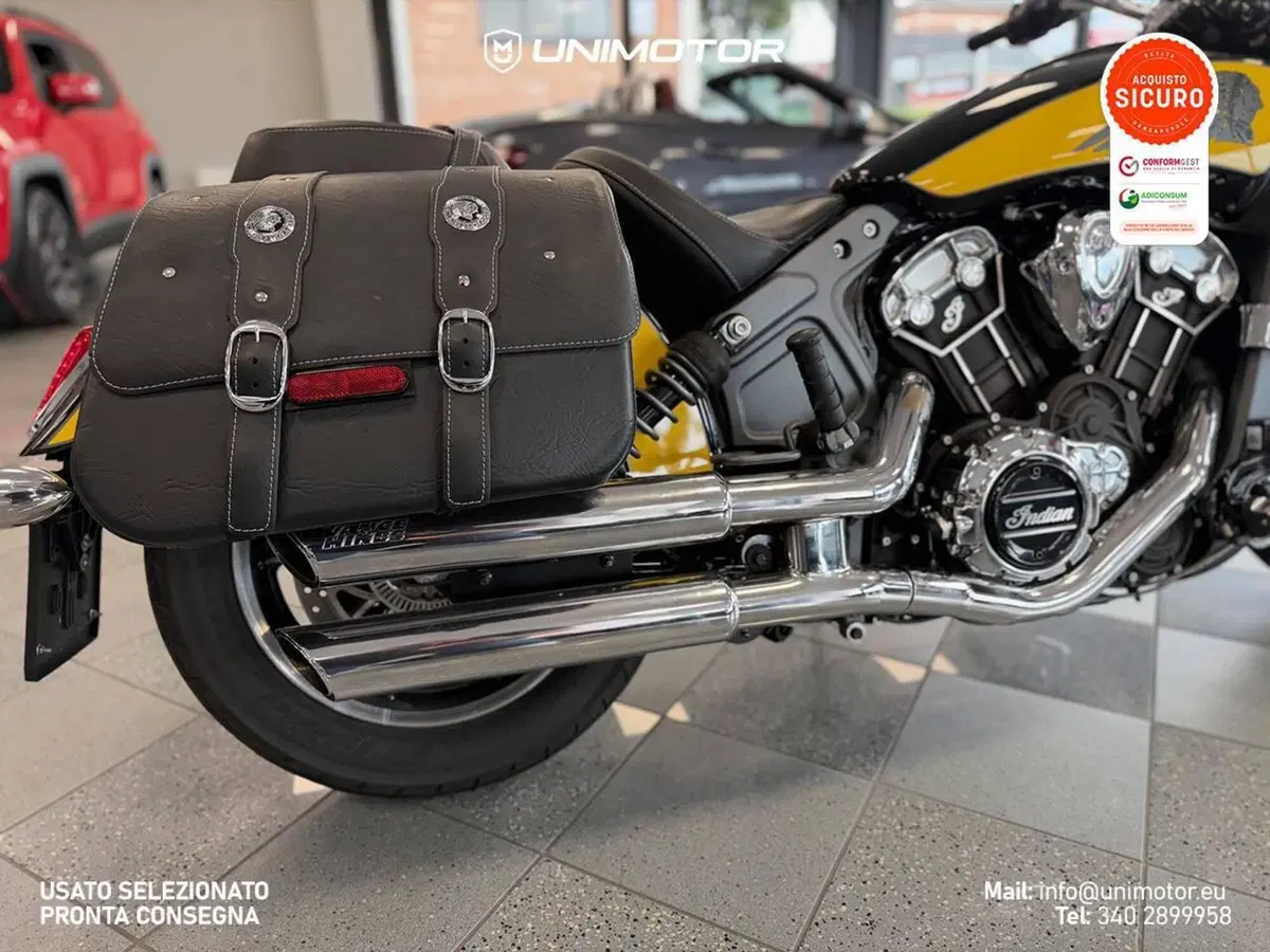 Indian Scout 1133 (2017 - 19) (11)