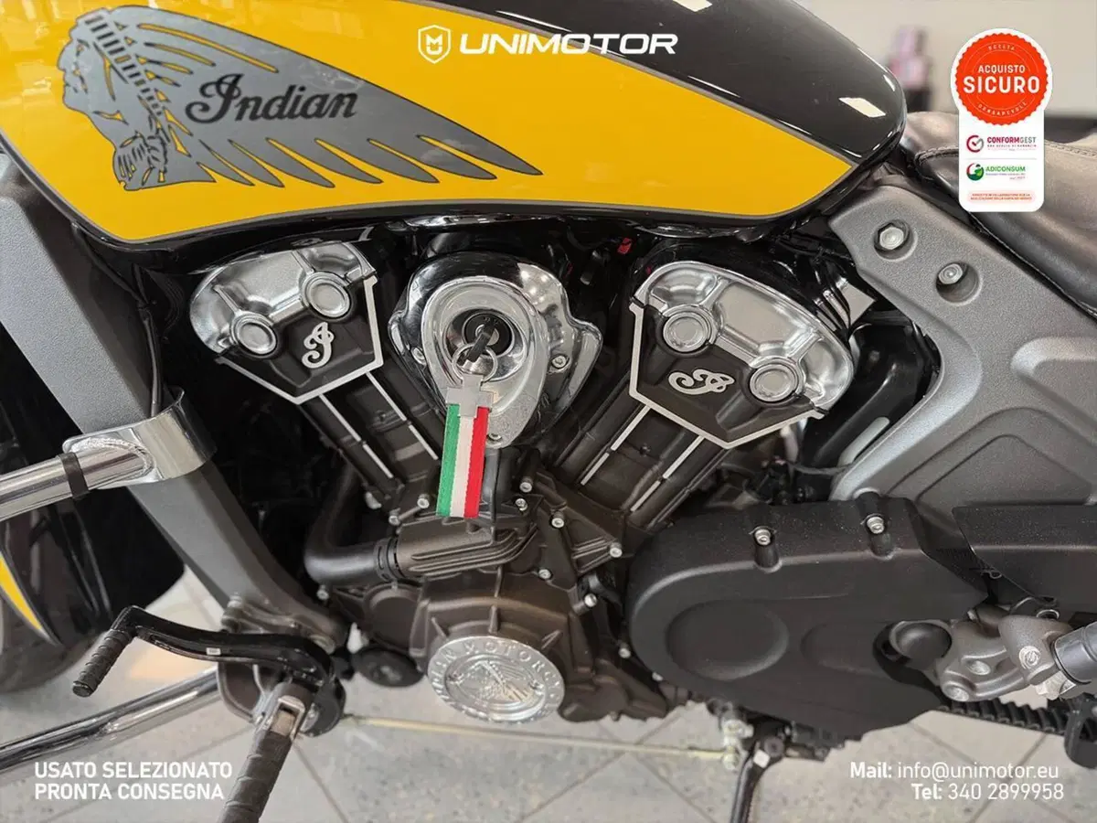 Indian Scout 1133 (2017 - 19) (13)