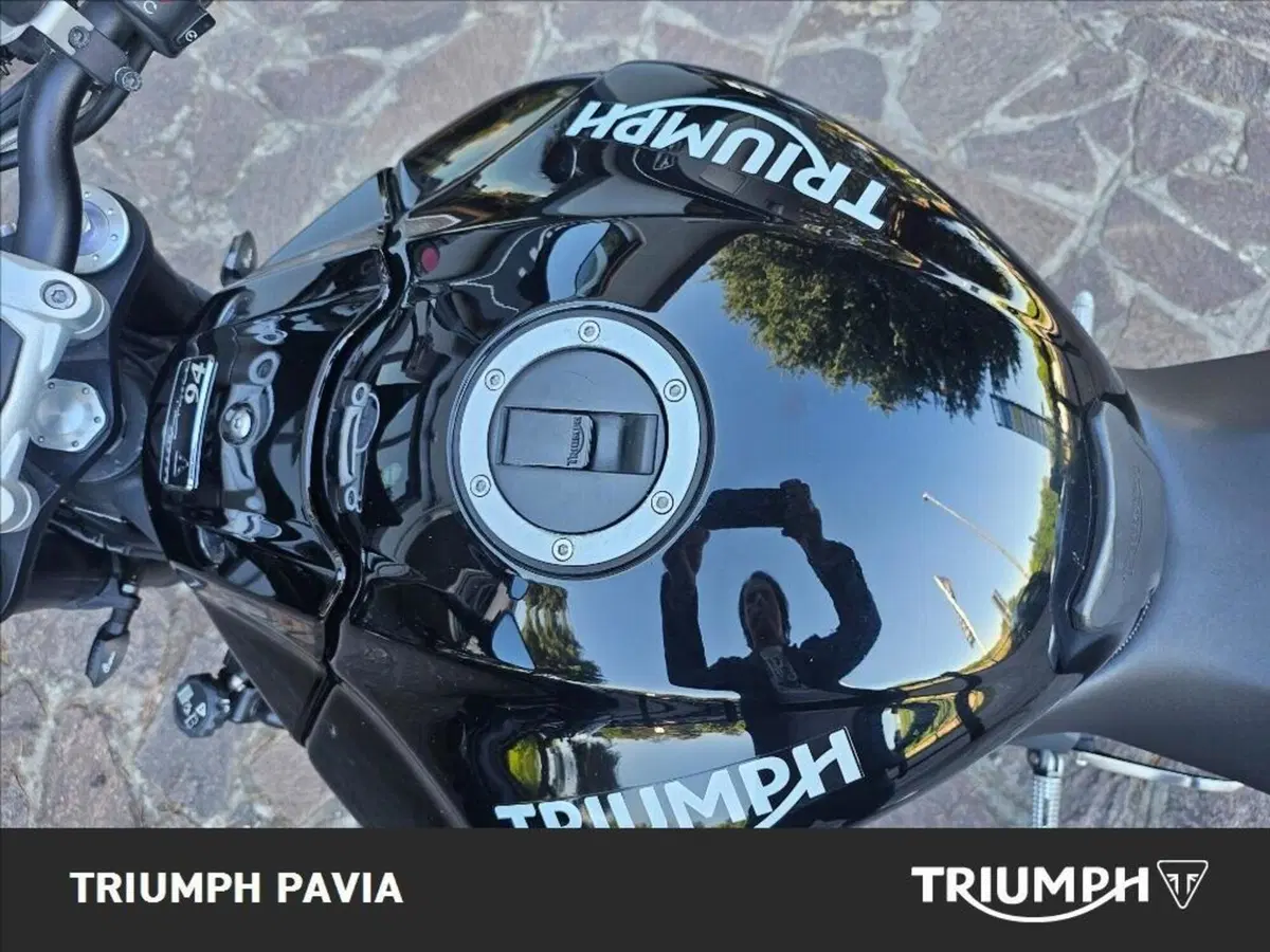 Triumph Speed 94 (2015) (19)