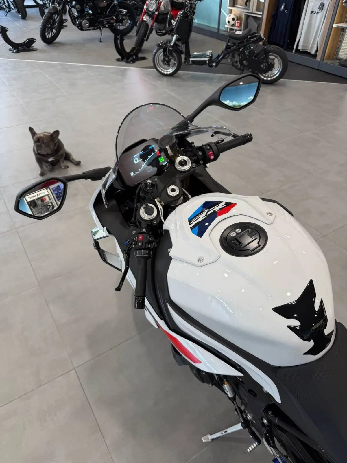 Bmw S 1000 RR (2023 - 24) (8)