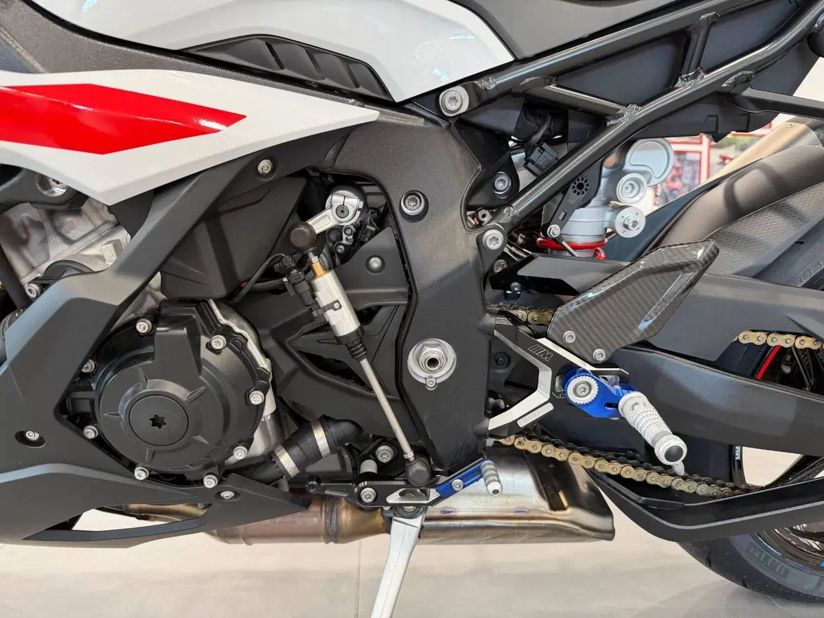 Bmw S 1000 RR (2023 - 24) (11)