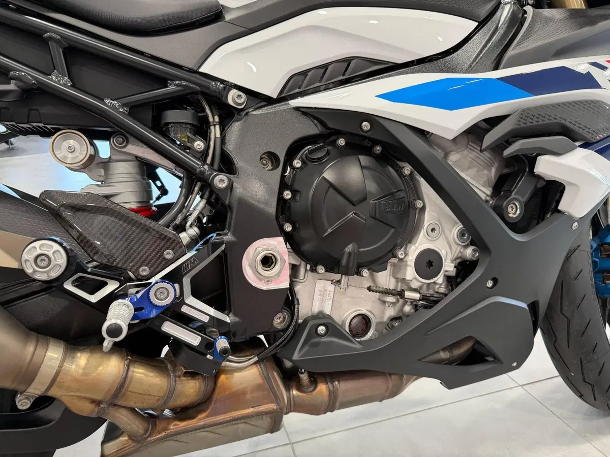 Bmw S 1000 RR (2023 - 24) (16)
