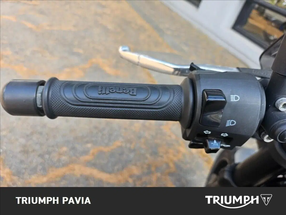 Benelli Leoncino 500 Trail ABS (2017 - 20) (18)