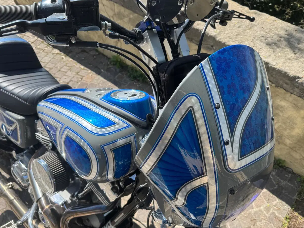 Harley-Davidson 1450 Super Glide Custom (2005 - 06) - FXDCI (10)