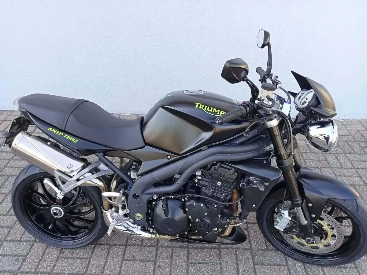 Triumph Speed Triple 1050 (2005 - 11) (2)