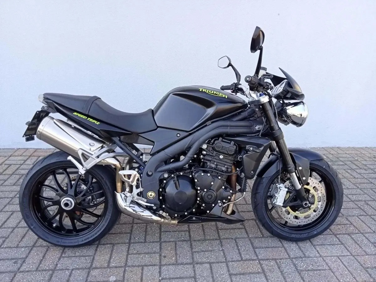Triumph Speed Triple 1050 (2005 - 11) (3)