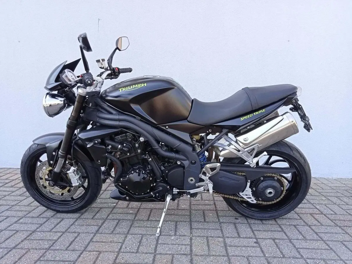 Triumph Speed Triple 1050 (2005 - 11) (4)