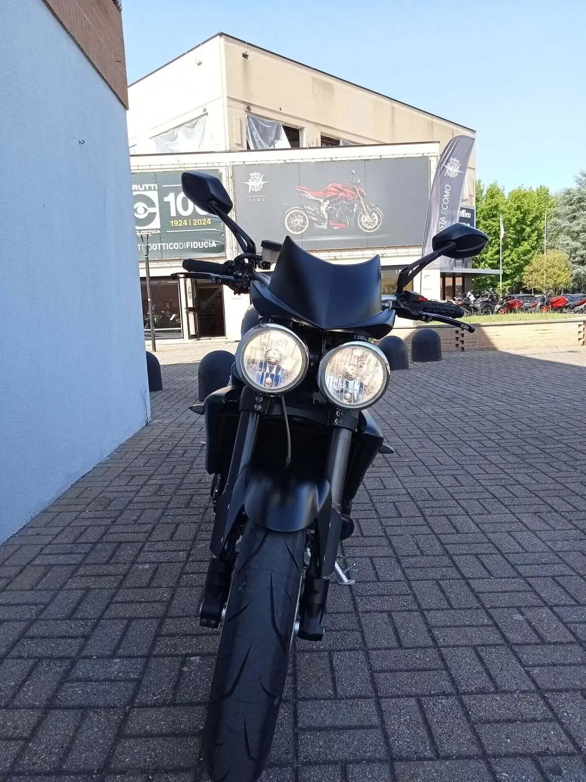 Triumph Speed Triple 1050 (2005 - 11) (7)