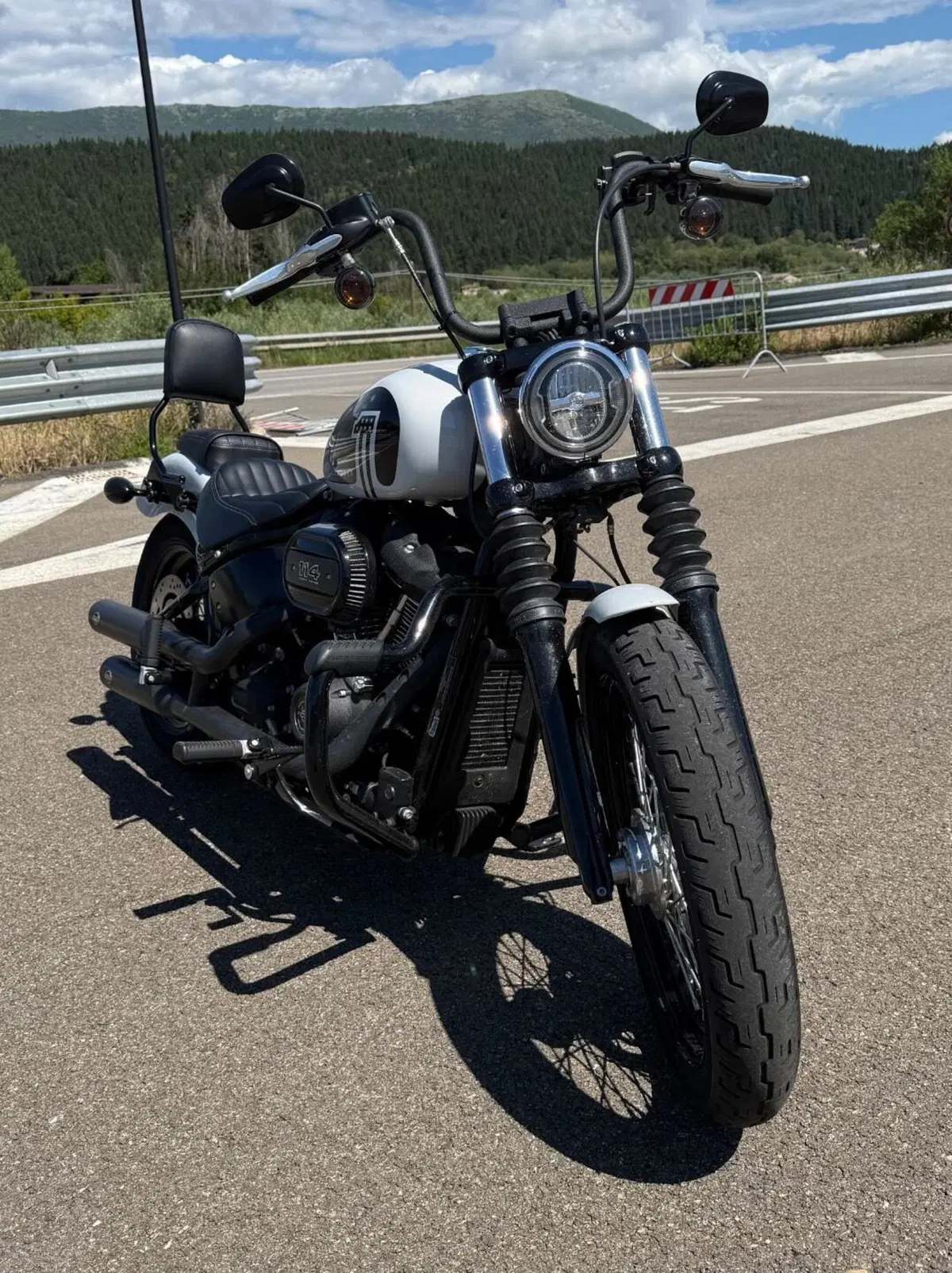Harley-Davidson Street Bob 114 (2021 - 24) (2)