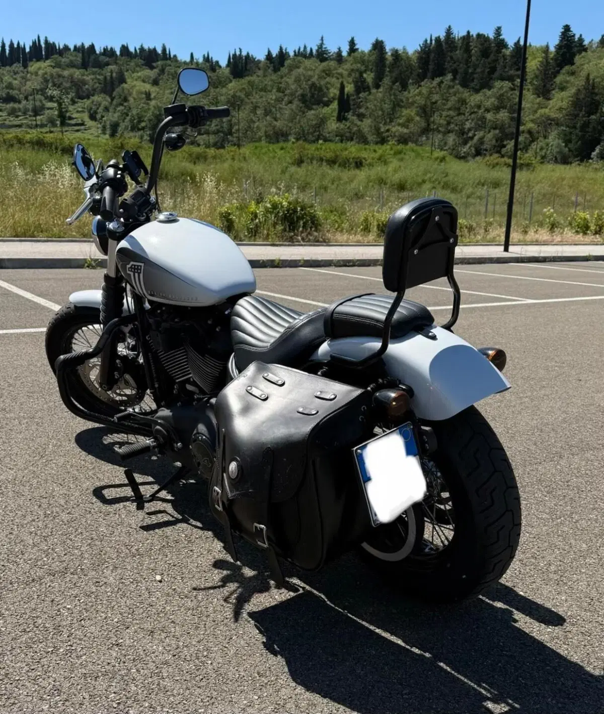 Harley-Davidson Street Bob 114 (2021 - 24) (4)